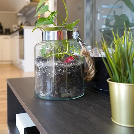 Alkantara Apartment Chrzanow